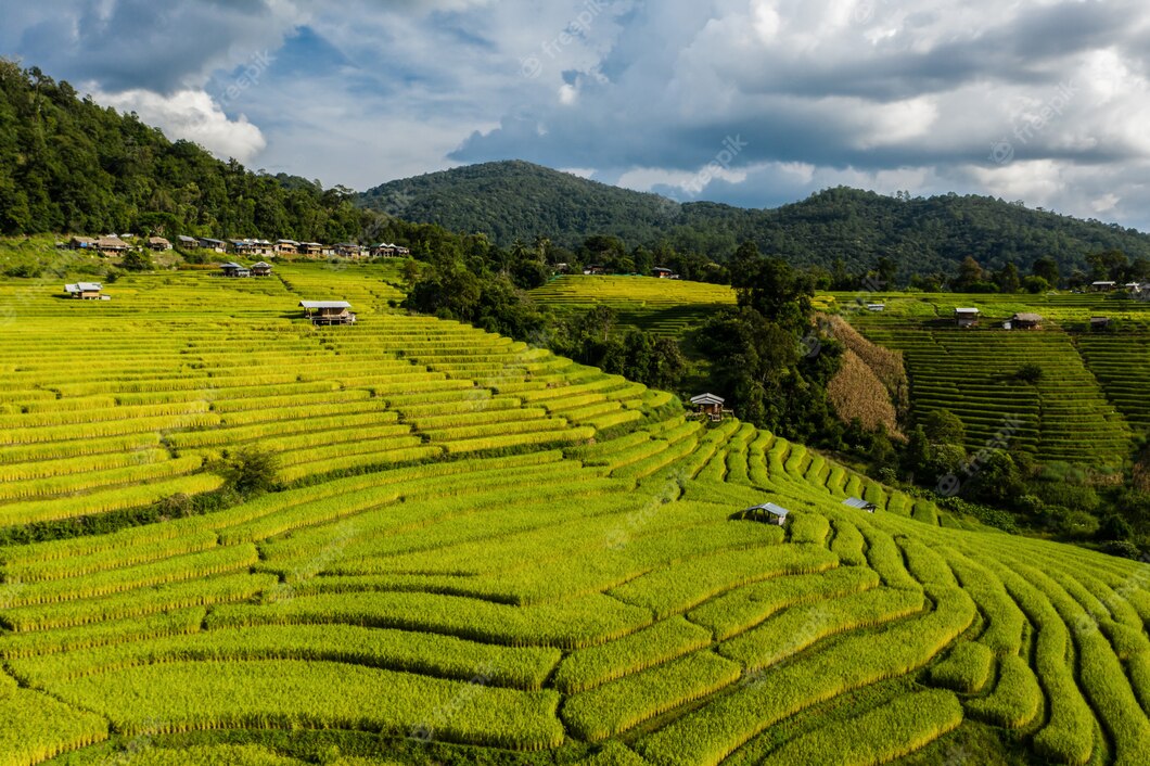 The House Of Abhinandan Lodha Cape Of Bliss  Image 0